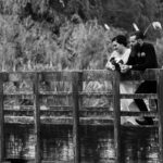 Wedding videographer Rotorua