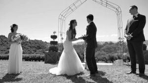 Stone Terrace Hot Water Beach wedding video