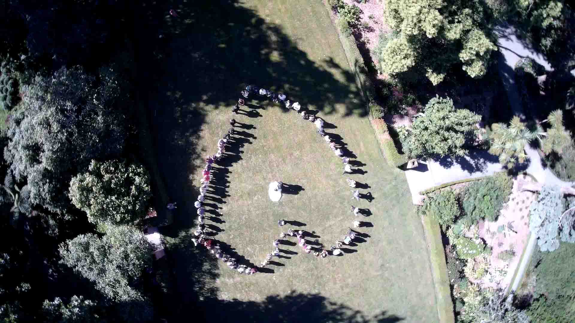 Queenstown wedding video