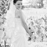 Napier wedding photography and video