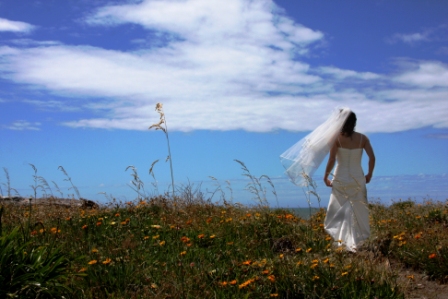 Whitianga wedding photographers